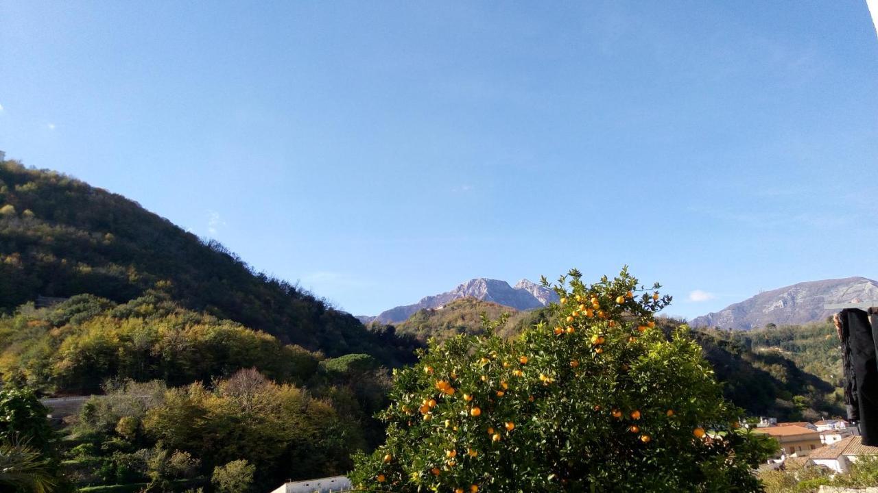 L'Antico Giardino Bed & Breakfast Vietri Dış mekan fotoğraf