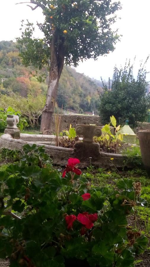 L'Antico Giardino Bed & Breakfast Vietri Dış mekan fotoğraf