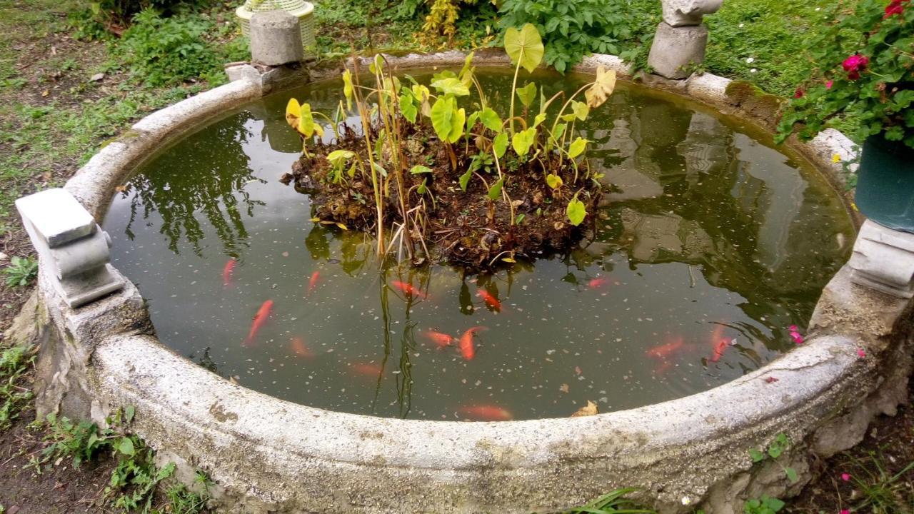 L'Antico Giardino Bed & Breakfast Vietri Dış mekan fotoğraf